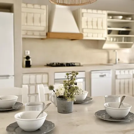 Lejlighed Vlia Mar Myconian Residences *